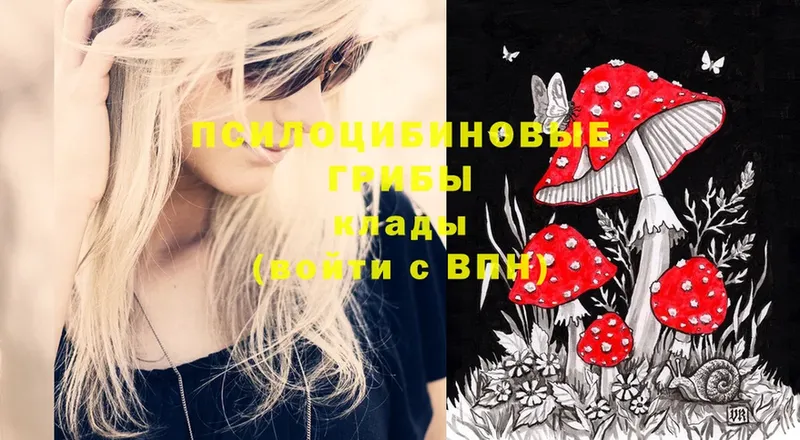 Галлюциногенные грибы Magic Shrooms  Покровск 